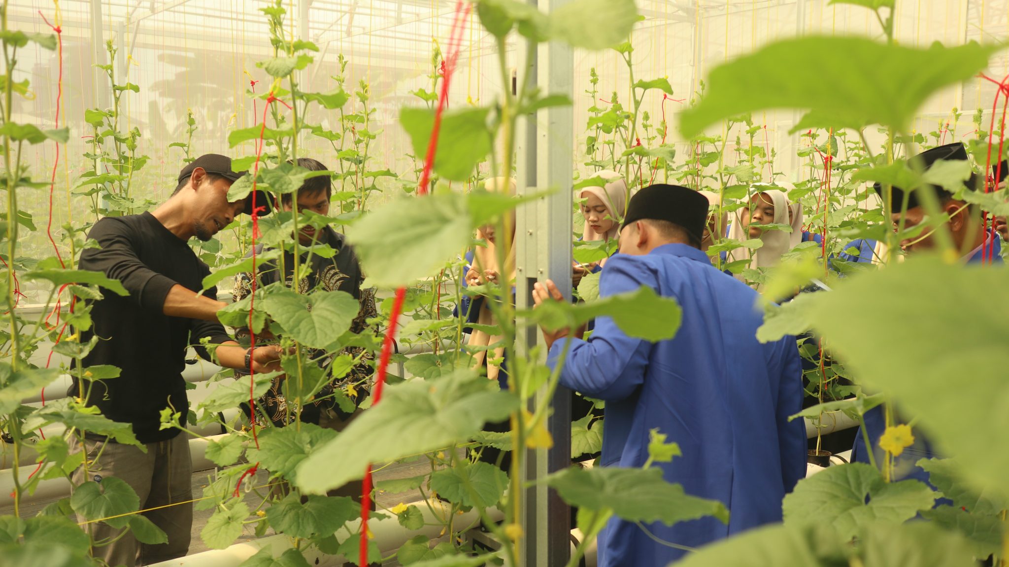 Foto Prodi Manajemen Agribisnis